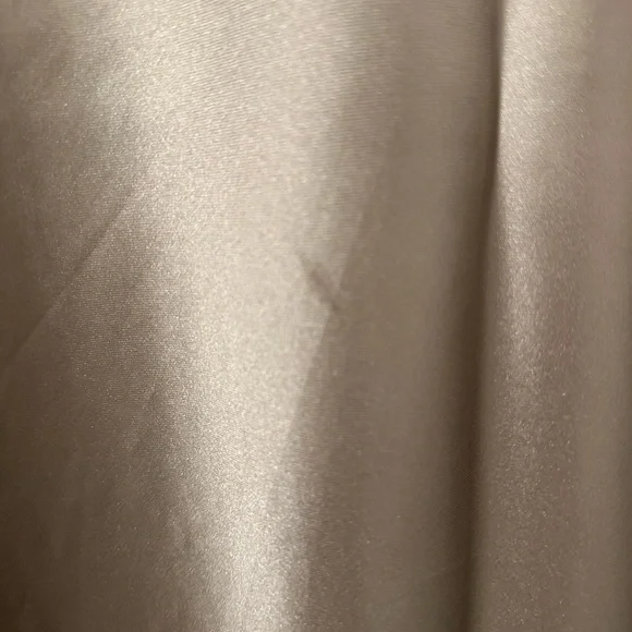 Zara Satin Midi Skirt - Picture 6 of 6